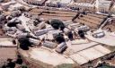 This_aerial_view_of_Tal_Handaq2C_Malta2C_courtesy_of_Keith_Poulton2C_was_taken_in_September_2000.jpg