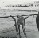 Copy_of_Kalafrana_slipway_1950_freeport.jpg